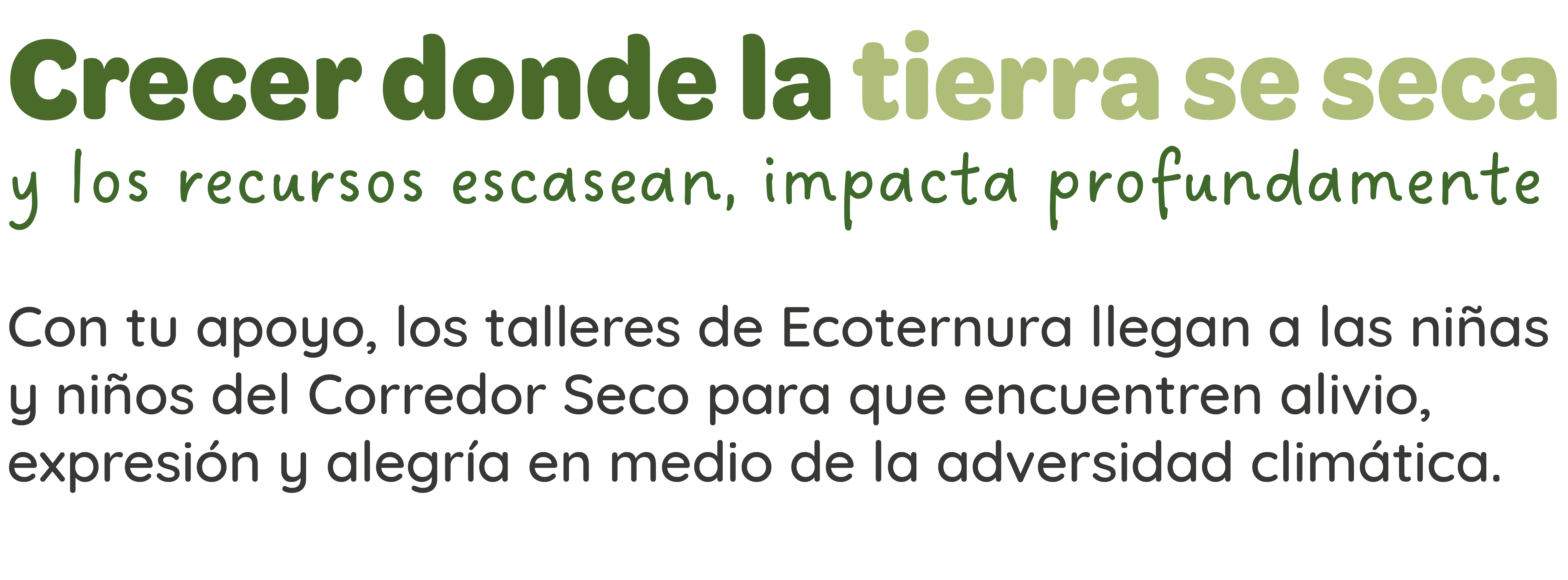 Banners_Ecoternura_Corredor seco_Texto_PC
